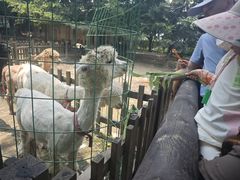 -南昌动物园