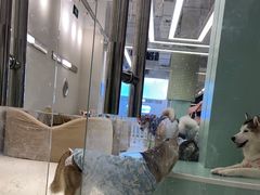 -怪兽屋·羊驼·猫咖·狗咖(俊华广场店)