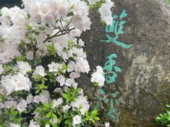 -中国茶叶博物馆(双峰馆区)