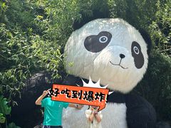-苏州太湖国家湿地公园