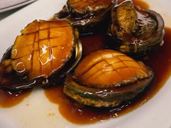 浇汁大鲍鱼-来之顺海鲜菜馆·青岛菜·始于1993(栈桥店)