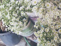 -瓦洛洛传统市场