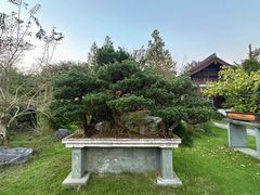 -杭州植物园
