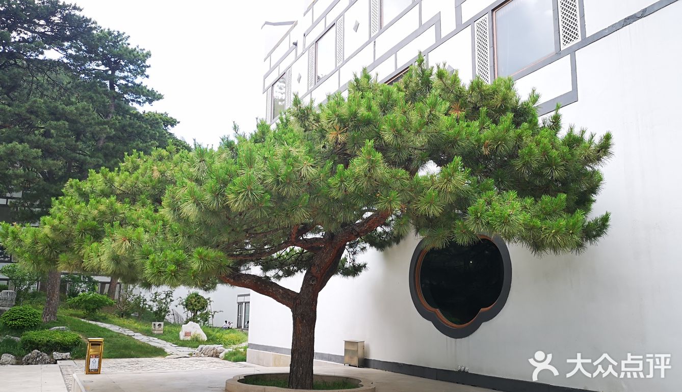 没有客人，我俩坐在摇椅上感受这里的环境