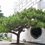 没有客人，我俩坐在摇椅上感受这里的环境