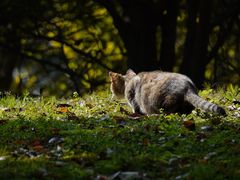 -苏州河梦清园环保主题公园