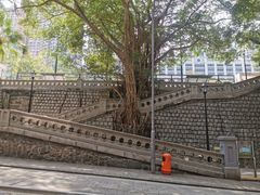 -香港佐治五世纪念公园