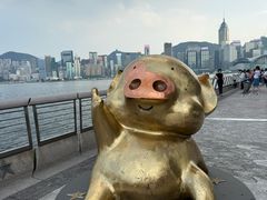 -星光大道