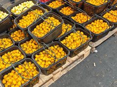 -西郊国际农产品交易中心