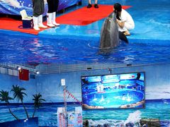 -多彩贵州城极地海洋世界