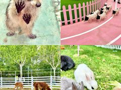 -渔岛海洋度假区