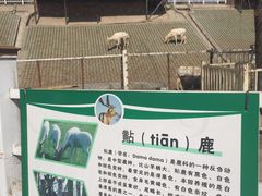 -北京鹿世界主题园