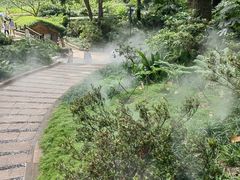 -成都市活水公园