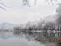 -也枫·小黄楼(南山路旗舰店)