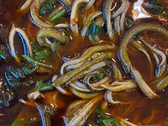 -乐山第一家临江鳝丝(茶坊路店)