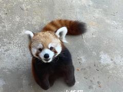 -杭州野生动物世界