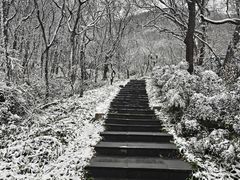 -句容茅山景区