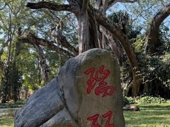 -独树成林