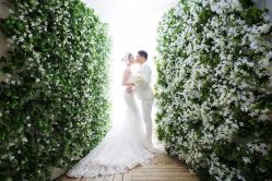 点击看大图 -太郎花子婚纱摄影艺术中心