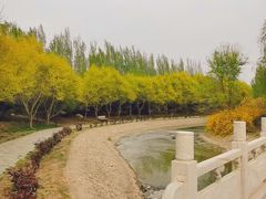 -廊坊市自然公园