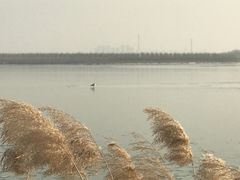 -天津东丽湖风景区