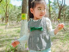 -大兴滨河森林公园