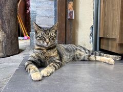 -重庆十八梯传统风貌区