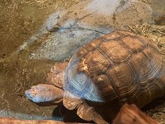 -泉州海丝野生动物世界