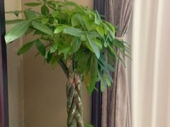 -洛阳宴·洛阳菜(南昌路店)