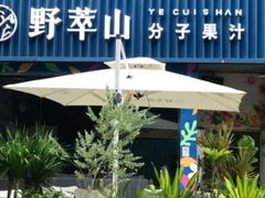 -野萃山·潮汕厚果汁(十亩地店)
