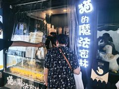 -猫的魔法密林(衣裳街店)