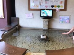 -Yuami屋