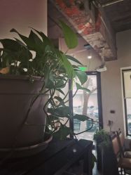 点击看大图 -M+hair salon专业造型沙龙