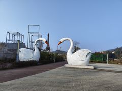 -广州市流溪河国家森林公园