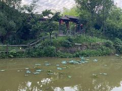 -驿舍·民國老营房院子私房菜(科学会堂店)