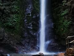 -莫里热带雨林景区