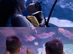 -南昌海洋公园