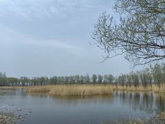 -野鸭湖国家湿地公园