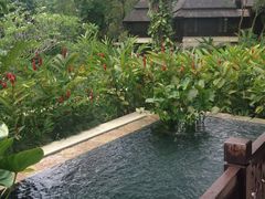 -四季酒店下午茶