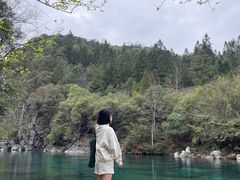 -石台牯牛降景区