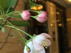 -碧桂园凤凰城酒店(南京店)