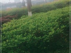 -金牛体育中心(金牛体育馆店)