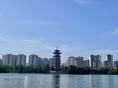 -洋湖国家湿地公园