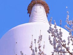 -北海公园