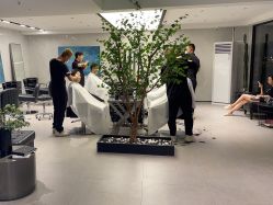 -付军剪艺JF ProSalon