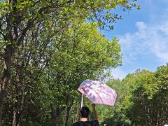 -艾溪湖湿地公园