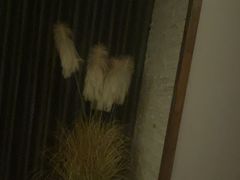 -端艾堂·SPA·艾灸(棕榈泉013店)