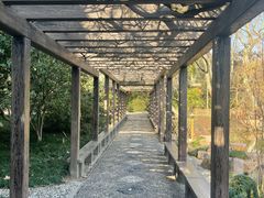 -上海醉白池公园