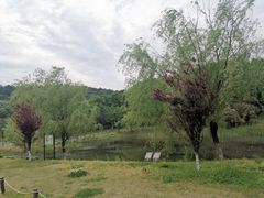 -南京市无想山景区