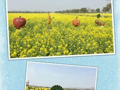 -兰陵国家农业公园